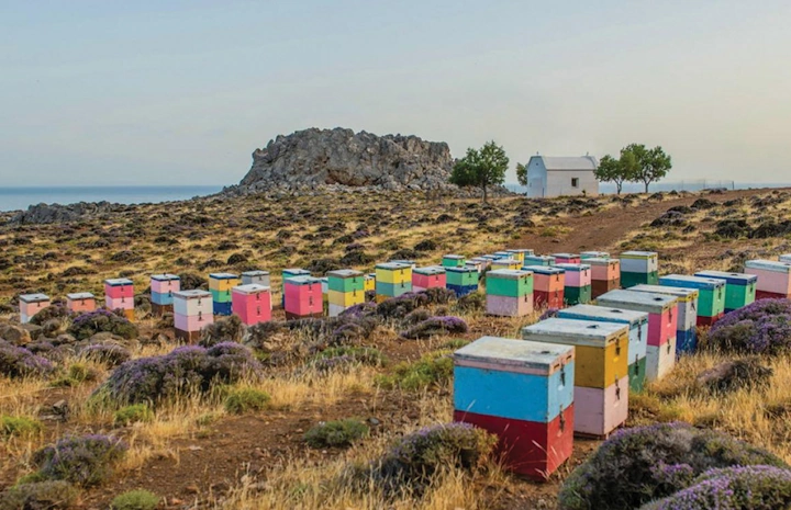 minoanbee location